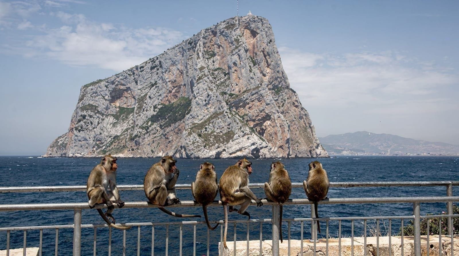 Excursión a Gibraltar desde Sevilla: el Peñón, los macacos y lo que debes saber — Cómo visitar Gibraltar desde Sevilla: tours, el Peñón y los macacos, la Cueva de