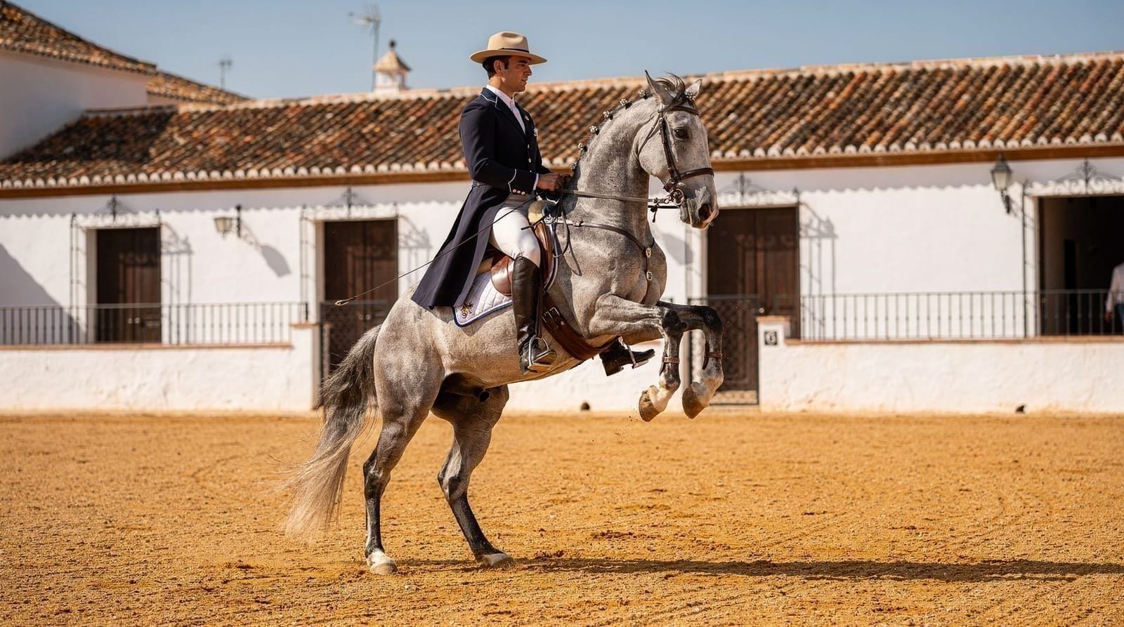Excursión a Jerez desde Sevilla: vino, caballos y patrimonio flamenco — Cómo visitar Jerez de la Frontera desde Sevilla: visitas a bodegas, espectáculo 