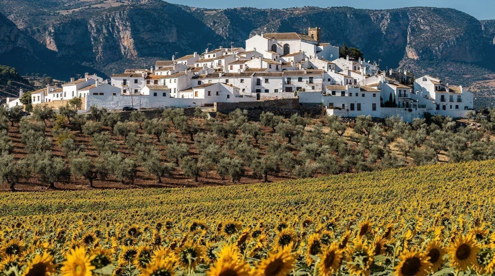Ronda vs los pueblos blancos: ¿qué excursión es para ti? — ¿Deberías ir solo a Ronda o combinarla con Setenil, Zahara y los Pueblos Blancos