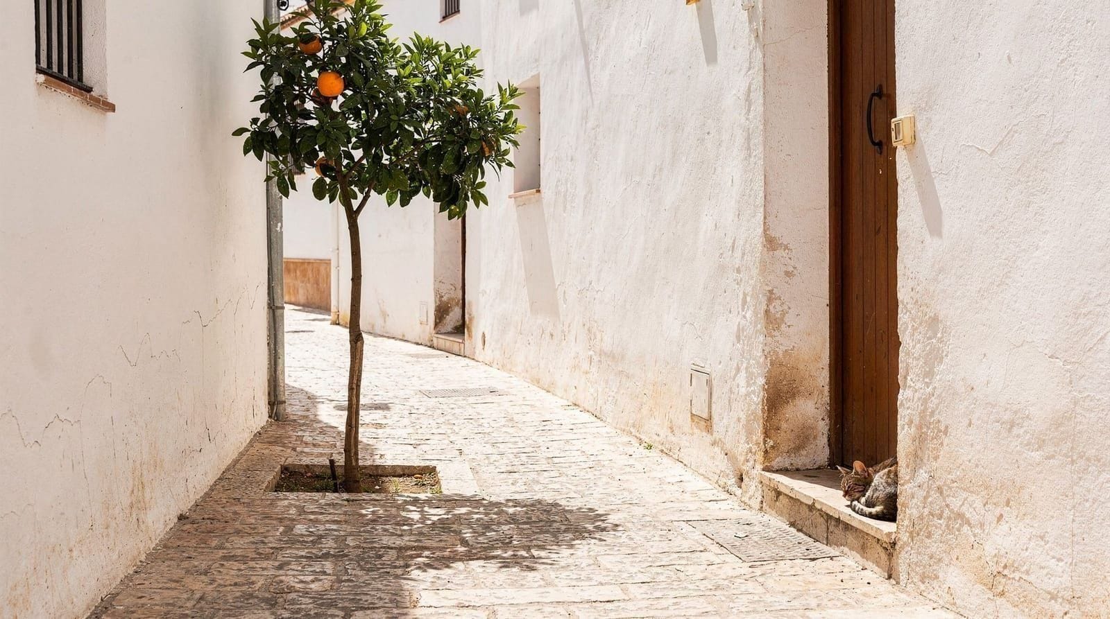 Sevilla en verano: cómo sobrevivir y disfrutar del calor — Guía honesta para visitar Sevilla en junio, julio y agosto. Cómo hacer turismo c
